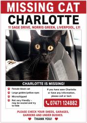 Lost Female Cat last seen Near Sage Drive, Merseyside, Inglaterra L11 2AF