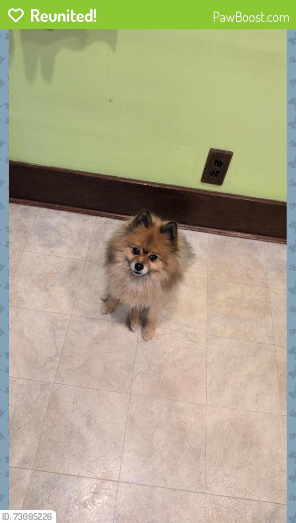 Reunited Male Dog last seen 4th st, Sioux Falls, SD 57103