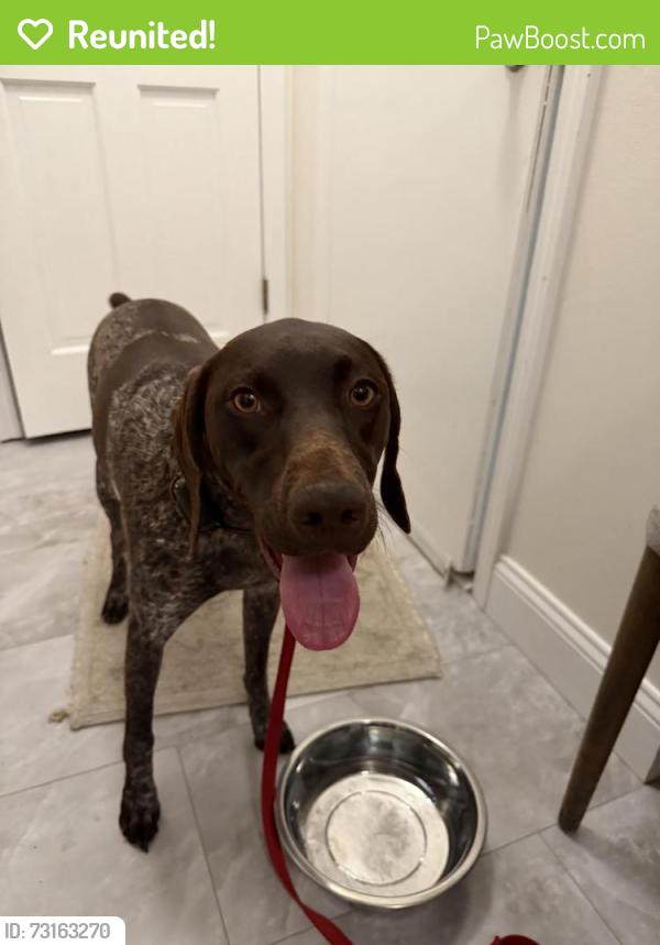 Reunited Female Dog last seen McKinney Rd and Woodcrest Dr, Loveland, OH 45140