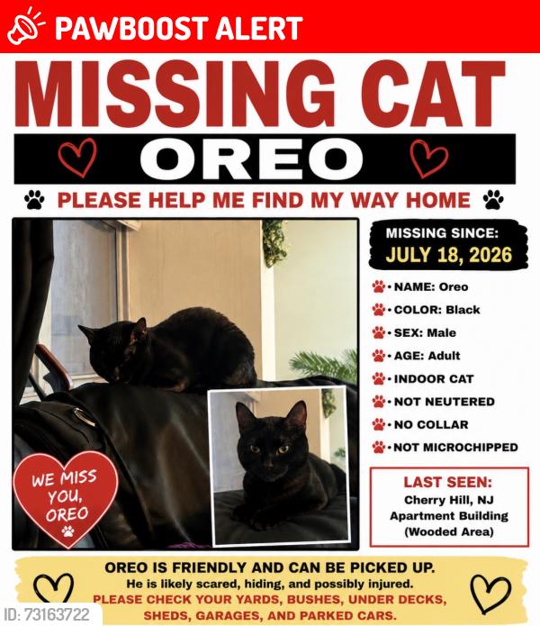 Lost Male Cat last seen The Grand Cherry Hill apmts, Cherry Hill Township, NJ 08034