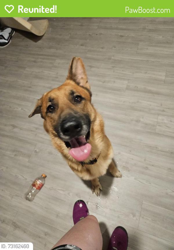 Reunited Male Dog last seen Sapphire Grove, San Antonio, TX 78263