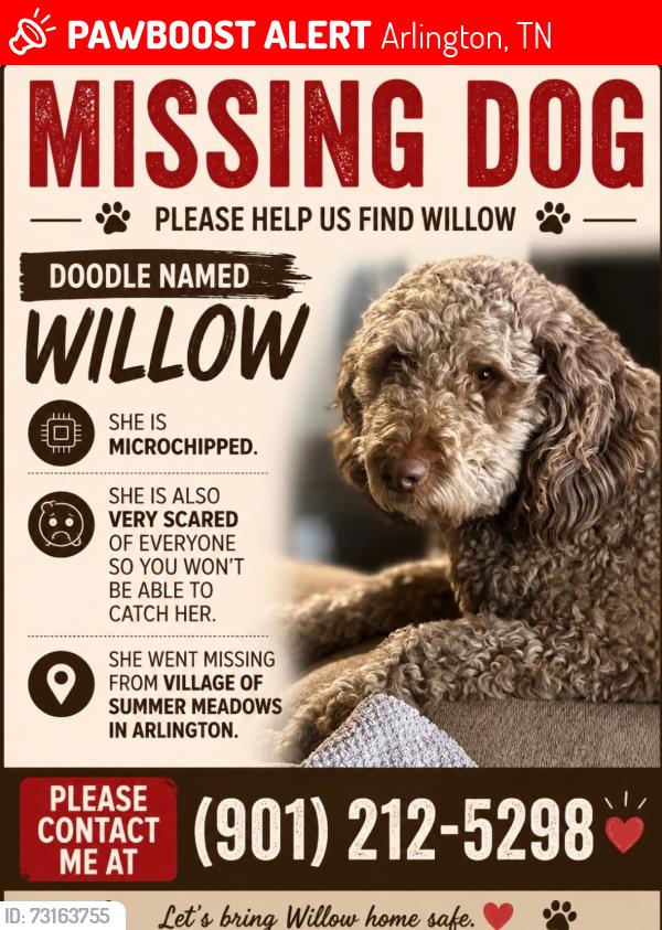 Lost Female Dog last seen Brayton Dr and Underwood Dr, Arlington, TN 38002