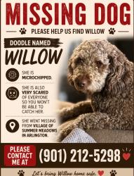 Lost Female Dog last seen Brayton Dr and Underwood Dr, Arlington, TN 38002