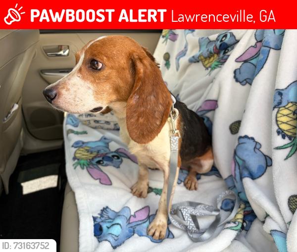 Lost Female Dog last seen Across from Ingles, last seen in woods between s and neighborhood., Lawrenceville, GA 30046