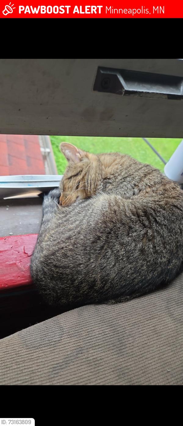 Lost Male Cat last seen Near E 33rd Street Minneapolis Minnesota, Minneapolis, MN 55407
