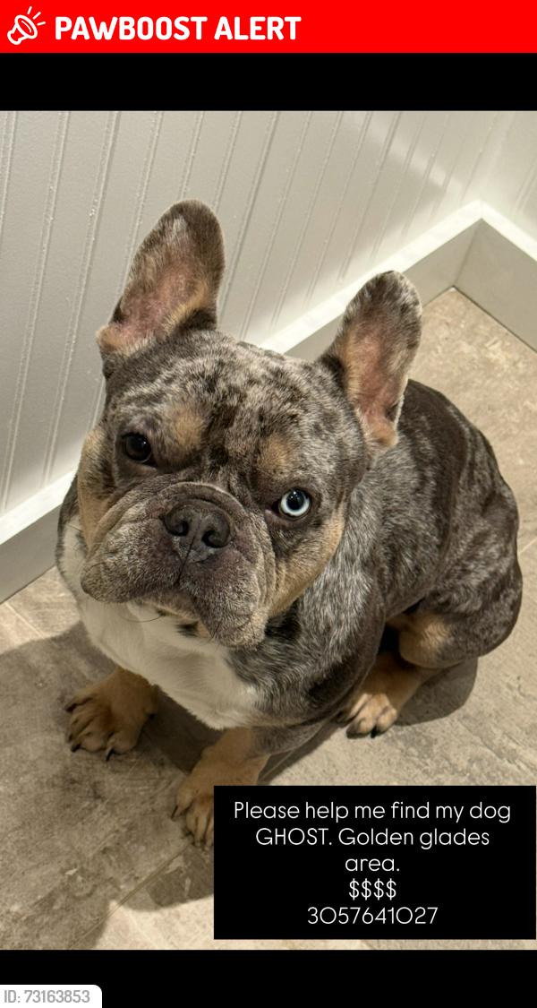 Lost Male Dog last seen Near S Biscayne River Dr, Biscayne Gardens, FL 33168