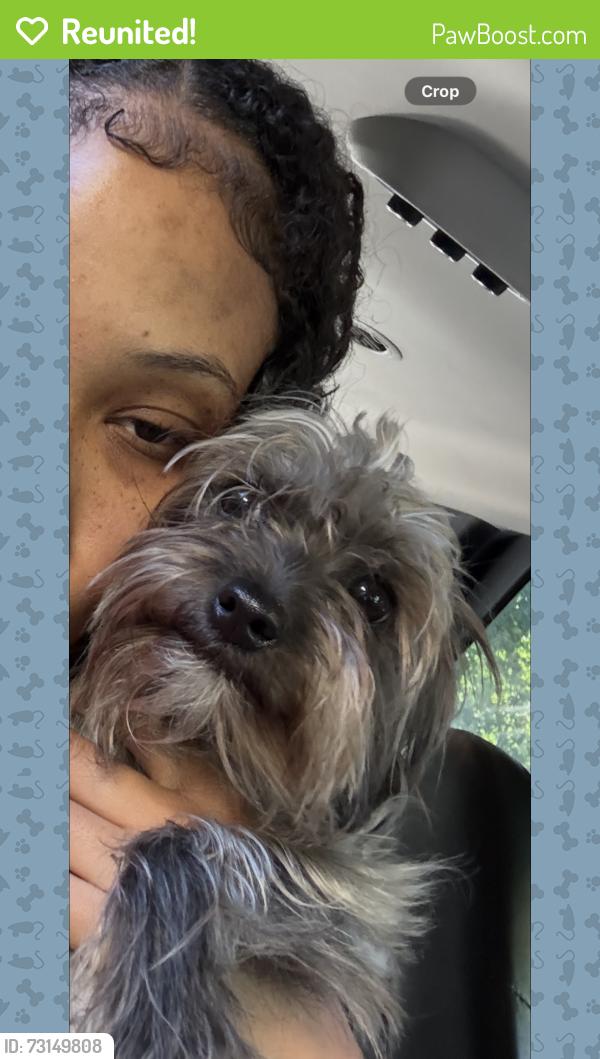 Reunited Female Dog last seen Near Carlson Blvd, Richmond, CA 94804, USA, Richmond, CA 94804