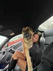 Reunited Male Dog last seen Mills Dr and Sandy Ln Dr/ route 17. Belvedere Plantation and the Rappahannock river, Fredericksburg, VA 22408