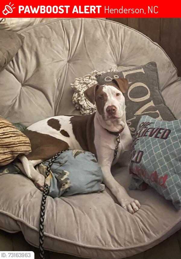 Lost Male Dog last seen Old Henderson Institute High School / EJ Senior Centet, Henderson, NC 27536