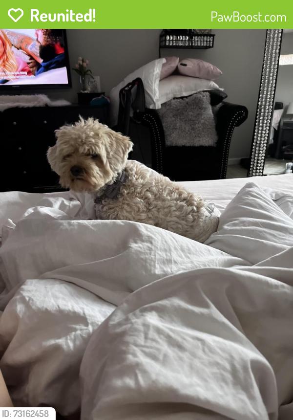 Reunited Male Dog last seen Near redriver trail, San Antonio, TX 78259