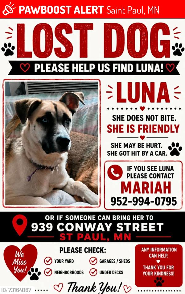 Lost Female Dog last seen 3rd and forest, Saint Paul, MN 55106