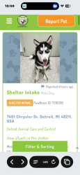 Reunited Male Dog last seen Near, Detroit, MI 48205