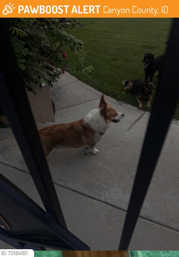 Found/Stray Male Dog last seen Deer flt and sky ranch, Canyon County, ID 83686