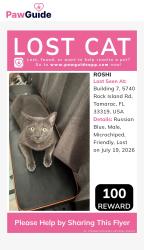 Lost Male Cat last seen Rock island and commercial, Tamarac, FL 33319