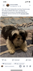 Lost Male Dog last seen Hwy16 south, Atascosa County, TX 78065