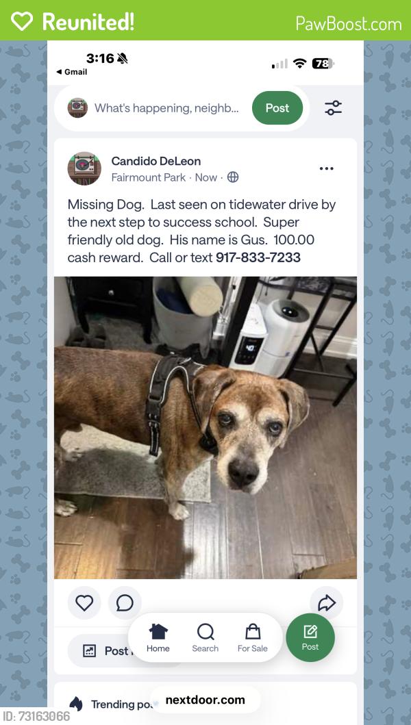Reunited Male Dog last seen Next Step Success School on Tidewater Drive, Norfolk, VA 23509