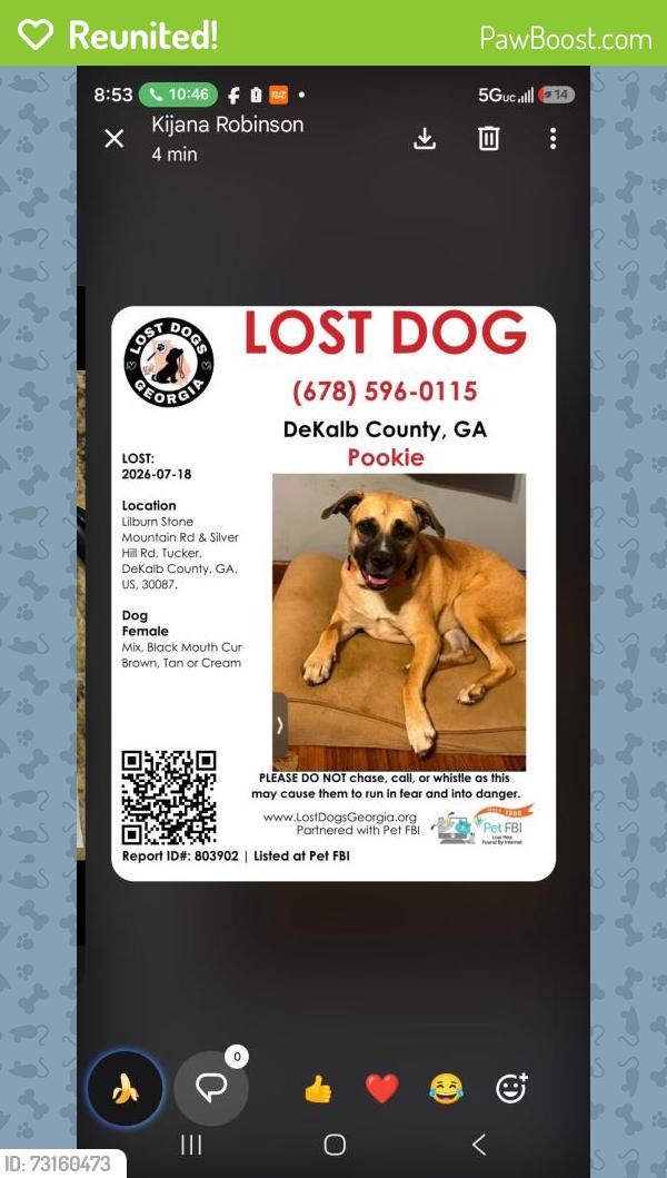 Reunited Female Dog last seen Hugh Howell, Lilburn Stone Mountain Rd, GA 30047