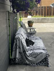 Lost Male Cat last seen Edgar brown stadium, Pasco, WA 99301
