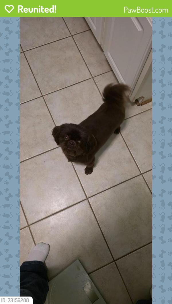 Reunited Female Dog last seen Mitchell's Point and Pine Cone Ct, Louisa County, VA 23117