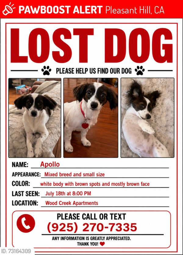 Lost Male Dog last seen Wood creek apmts, pleasant hill, ca, Pleasant Hill, CA 94523