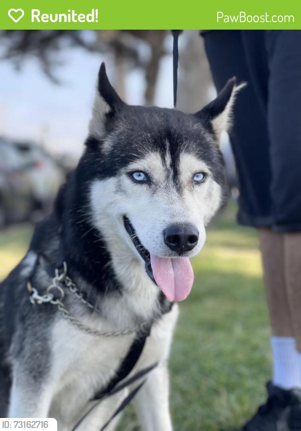 Reunited Male Dog last seen St. John hosp, Oxnard, CA 93030