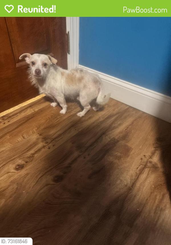 Reunited Male Dog last seen Talc Mine Rd near Gurney Rd Robbins NC, Moore County, NC 27325
