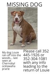 Lost Male Dog last seen Ocklawaha Praire restoration Chornobyl memorial, Ocklawaha, FL 32179
