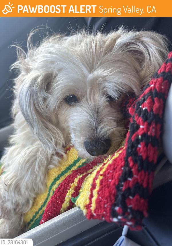 Found/Stray Female Dog last seen Sweetwater Rd and Illdica St, Spring Valley, CA 91977