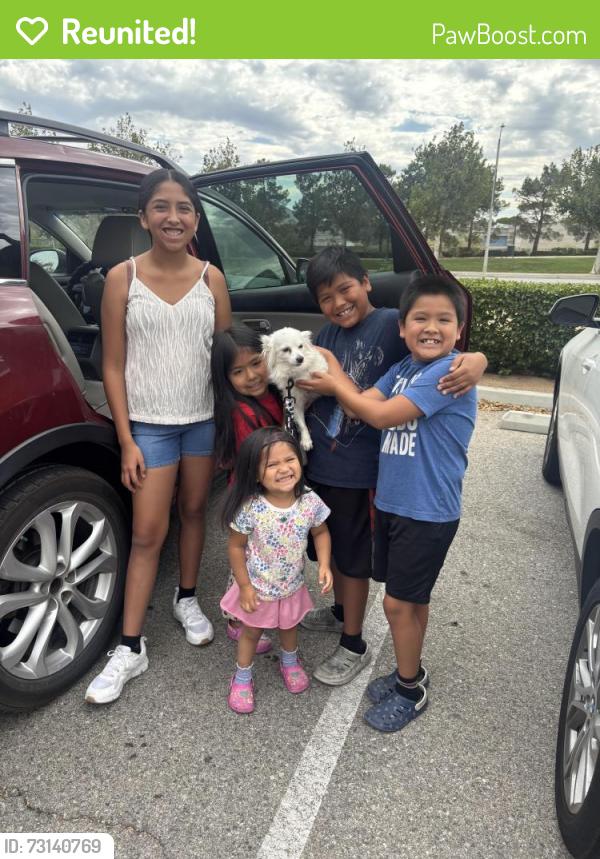 Reunited Male Dog last seen Division street and avenue R, Palmdale, CA 93550