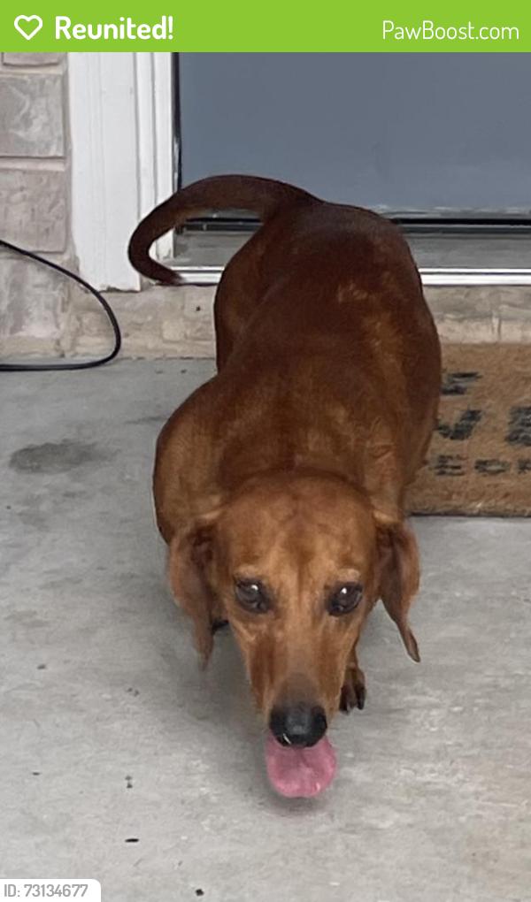 Reunited Male Dog last seen Kuykendall and Settlers Way, Bryan, TX 77802