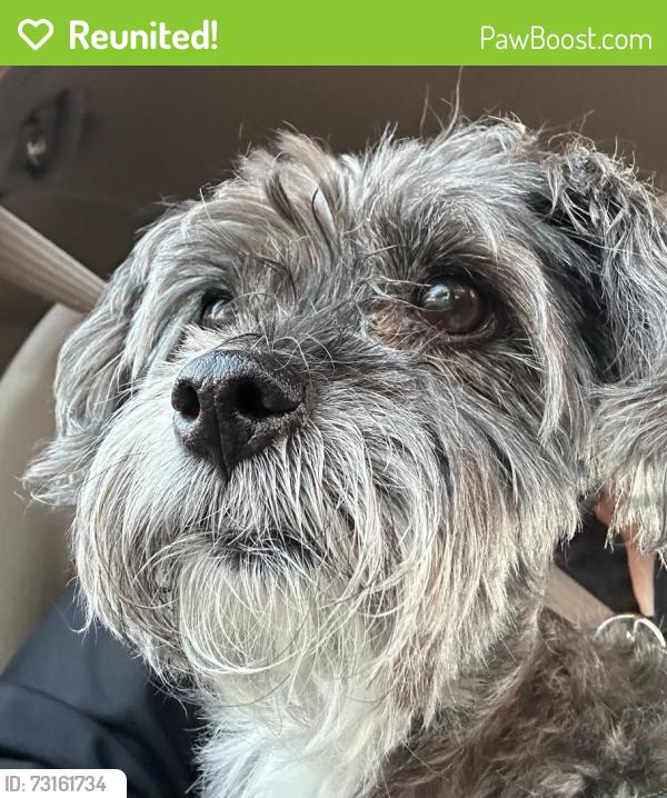 Reunited Unknown Dog last seen Unser blvd and westside blvd Rio Rancho/ Abq, Rio Rancho, NM 87124