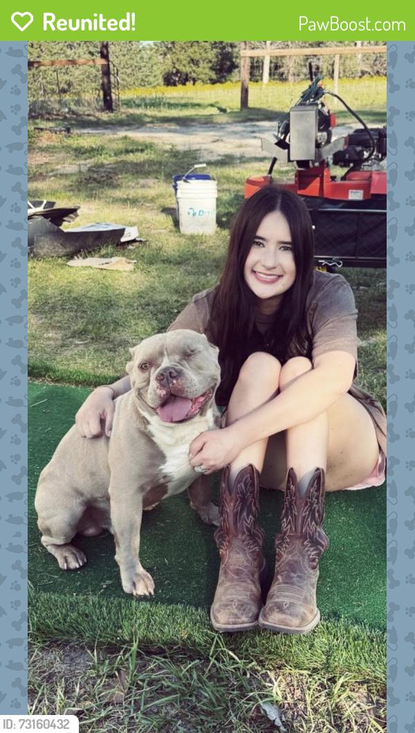 Reunited Male Dog last seen Near county road 1141, Tyler, TX 75709