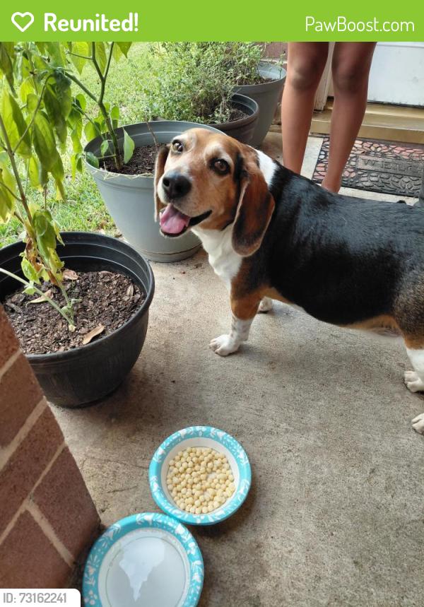 Reunited Male Dog last seen Grove Brook Ln, Houston, TX 77429
