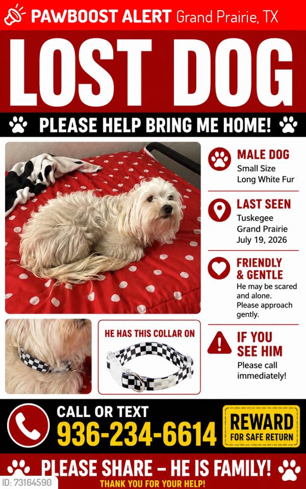 Lost Male Dog last seen Tuskegee Street, Grand Prairie TX., Grand Prairie, TX 75051