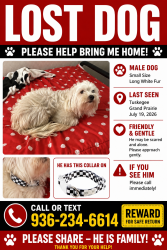 Lost Male Dog last seen Tuskegee Street, Grand Prairie TX., Grand Prairie, TX 75051