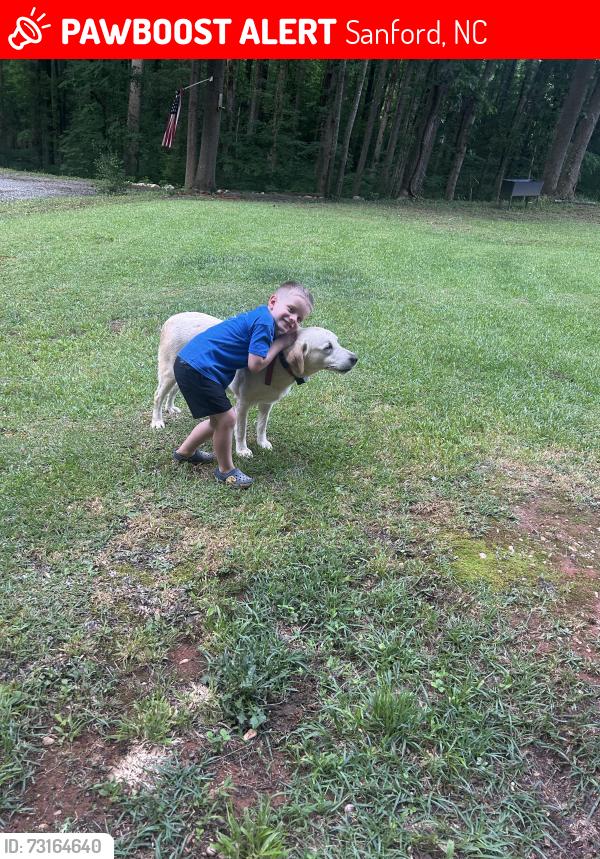 Lost Male Dog last seen Buckhorn Road, Sanford, NC 27330