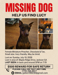 Lost Female Dog last seen Stark, Jackson, GA 30233