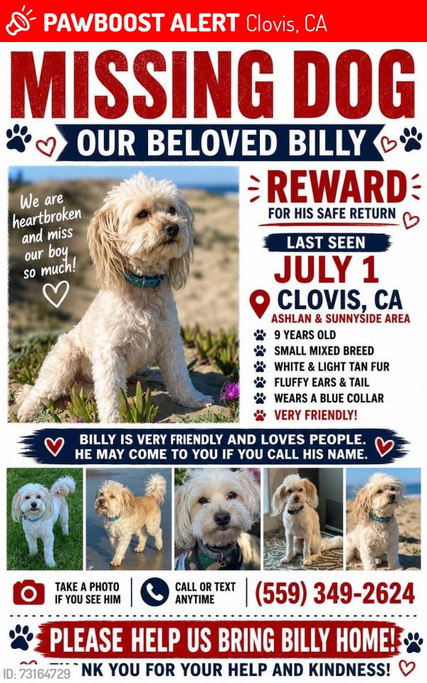 Lost Male Dog last seen Ashlan and sunnyside, Clovis, CA 93612