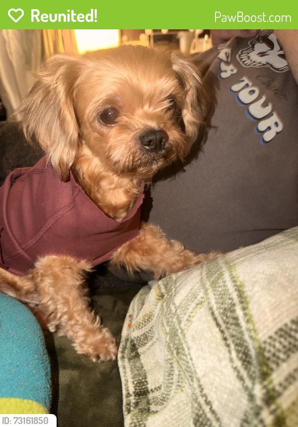 Reunited Male Dog last seen Near Green Ct, Denver, PA 17517, USA, Denver, PA 17517