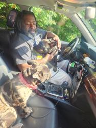 Reunited Male Dog last seen Selby and fisk, Saint Paul, MN 55104