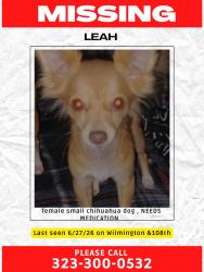Lost Female Dog last seen Watts towers, Los Angeles, CA 90059