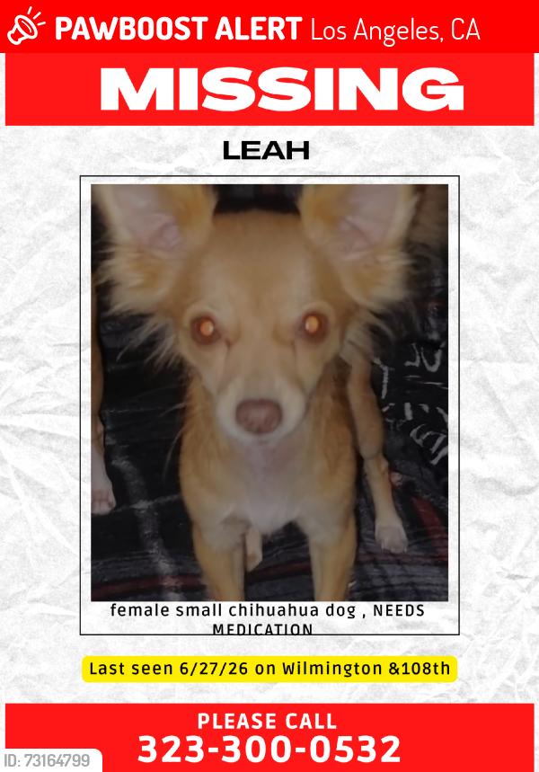 Lost Female Dog last seen Watts towers, Los Angeles, CA 90059