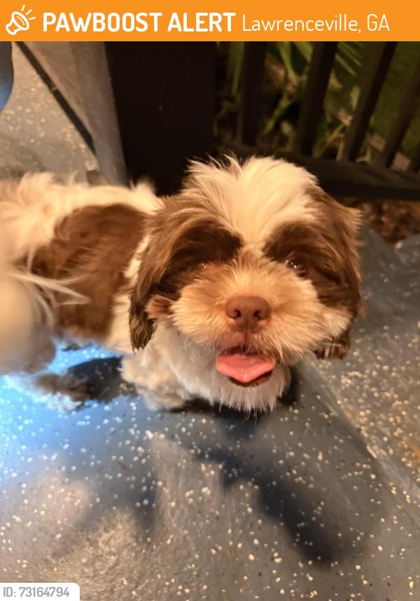Found/Stray Male Dog last seen Monfort Rd, Lawrenceville, GA 30046