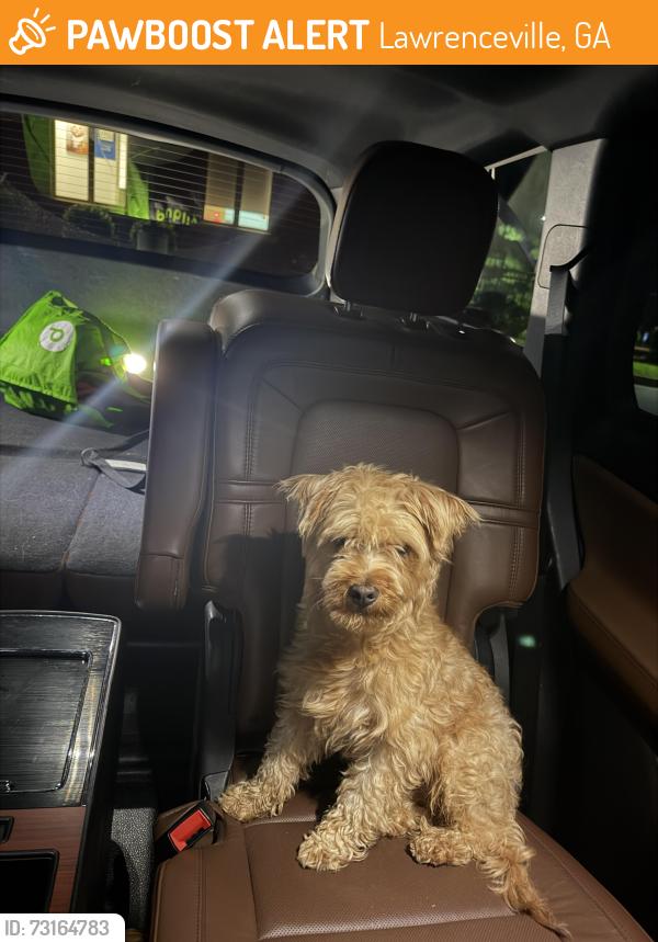 Found/Stray Male Dog last seen Gwinnett County Fairgrounds, Lawrenceville, GA 30045