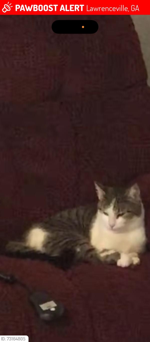 Lost Female Cat last seen Connemara Neighborhood, Lawrenceville, GA 30044
