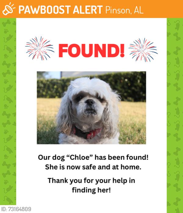 Found/Stray Female Dog last seen Ashberry Dr., Pinson, AL 35126