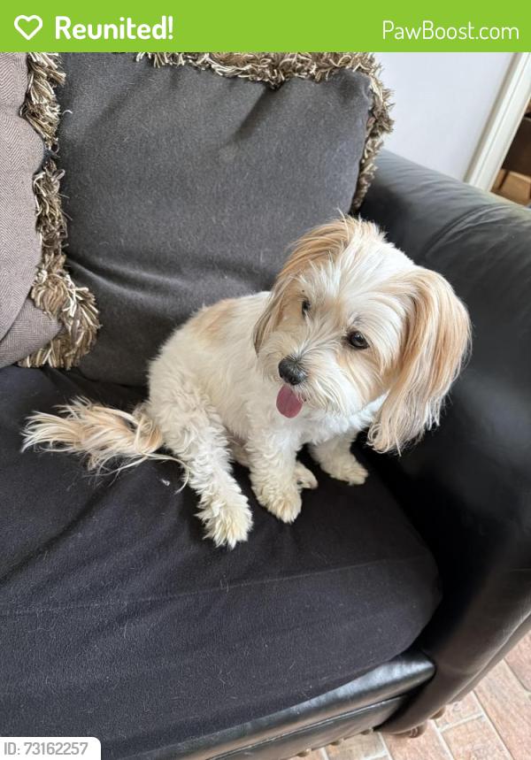 Reunited Female Dog last seen Kensington Grove, Greenwood, IN 46143