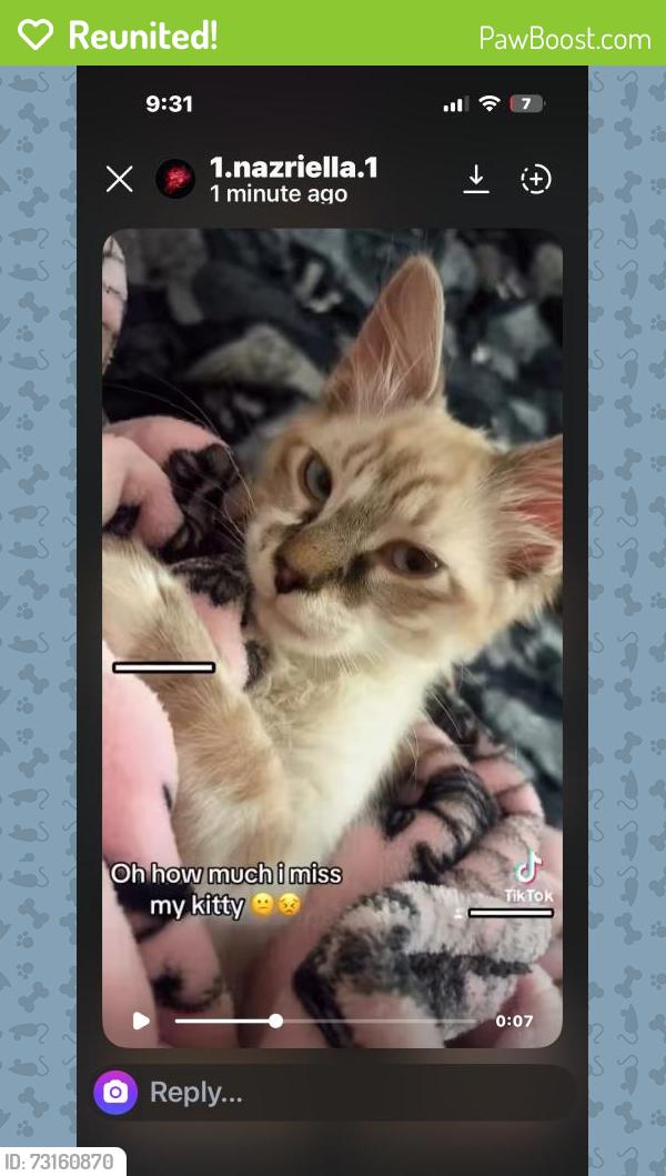Reunited Male Cat last seen Las Vegas, NV 89135, USA, Las Vegas, NV 89135
