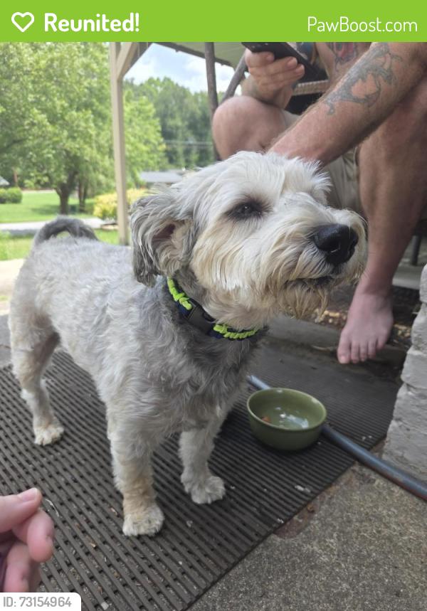 Reunited Male Dog last seen 1st Ave Place NW and 2nd Ave NW, Hickory, NC 28601