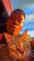 Reunited Female Cat last seen Near S Ironton St, Aurora, CO 80012